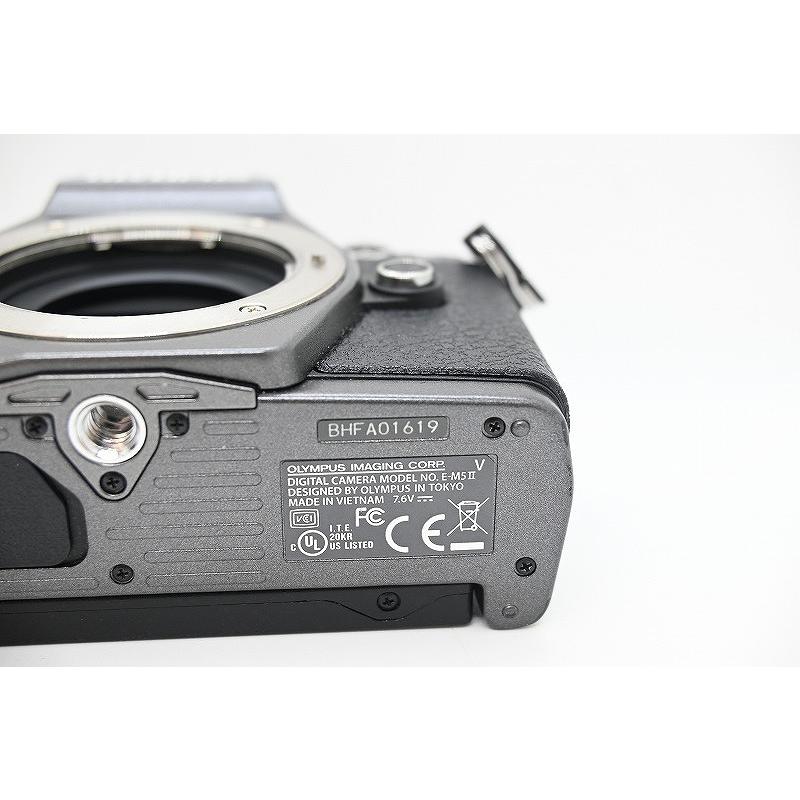 オリンパス OLYMPUS ミラーレス一眼 レンズキット チタニウムカラー OM