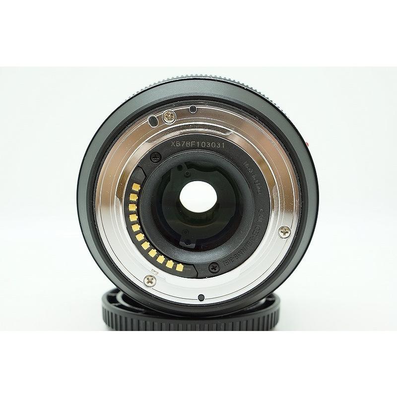 パナソニック Panasonic マイクロフォーサーズマウント レンズ LUMIX G