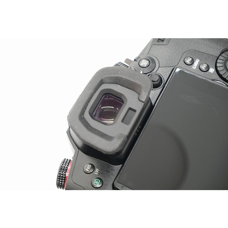 Panasonic DC-GH5S ボディ カメラゲージ・ケース・バッテリー付