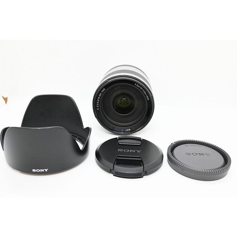 ソニー SONY Eマウント レンズ APS-C シルバー E 18-200mm F3.5-6.3