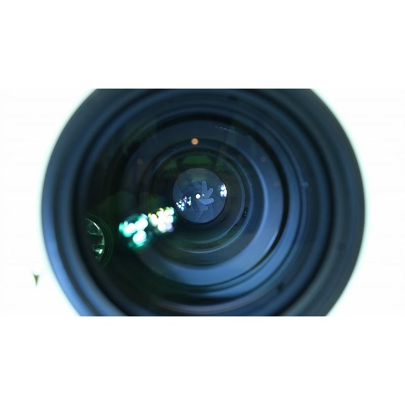 ニコン Nikon Fマウント レンズ フルサイズ ライトグレー AF-S VR Zoom