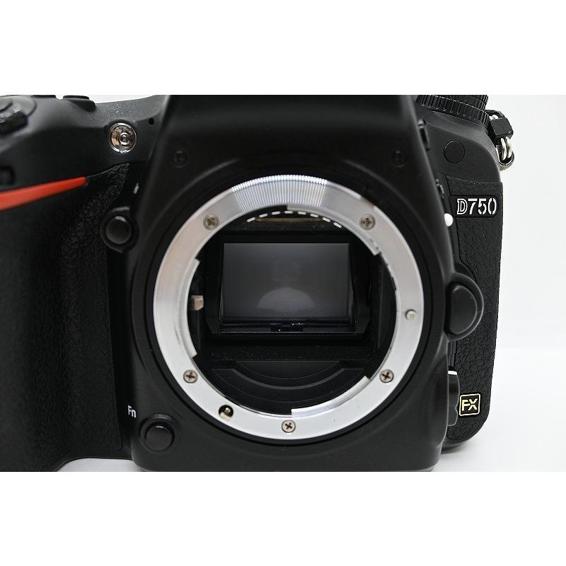 ニコン Nikon デジタル一眼レフ ボディ フルサイズ D750 : ワットマン