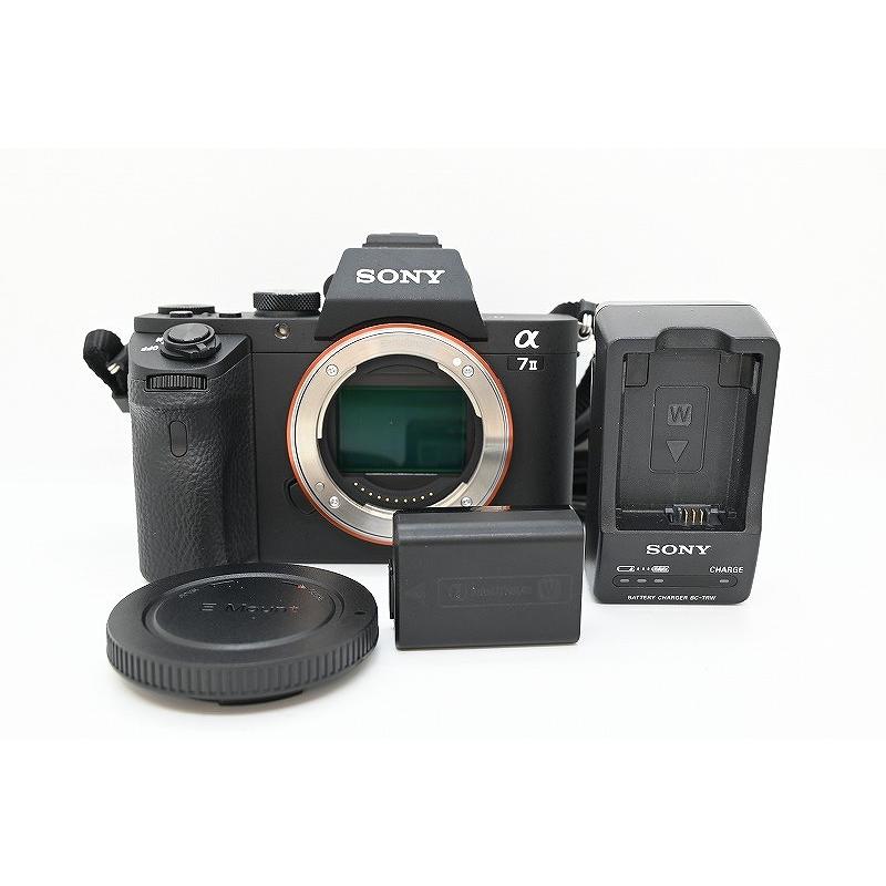 ソニー SONY ミラーレス一眼 ボディ フルサイズ α7 II : ワットマン