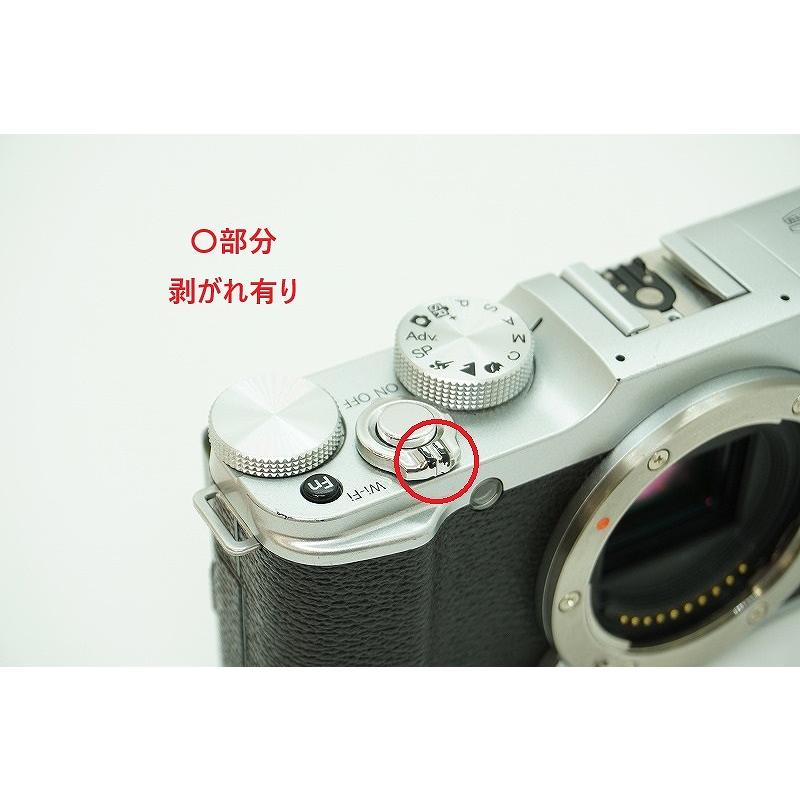 フジフィルム FUJIFILM ミラーレス一眼 ボディ APS-C X-M1 