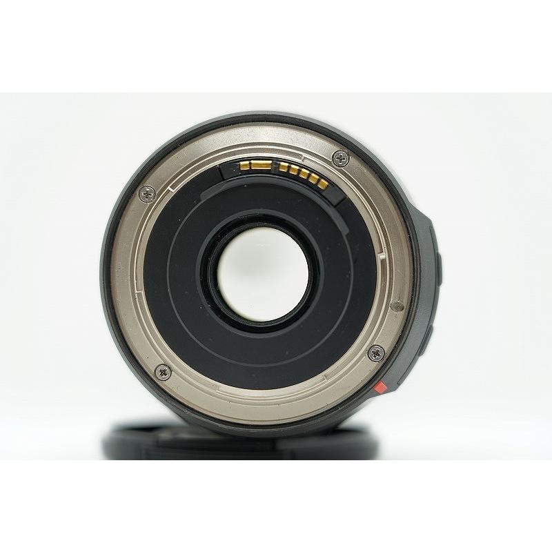 タムロン TAMRON EFマウント レンズ APS-C 16-300mm F3.5-6.3 Di II VC