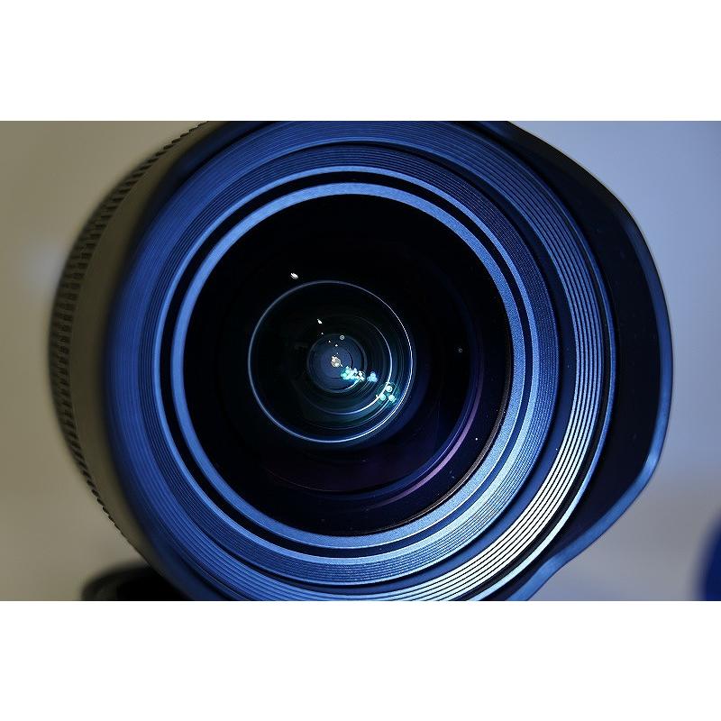 ソニー SONY Eマウント レンズ フルサイズ FE 12-24mm F4 G SEL1224G