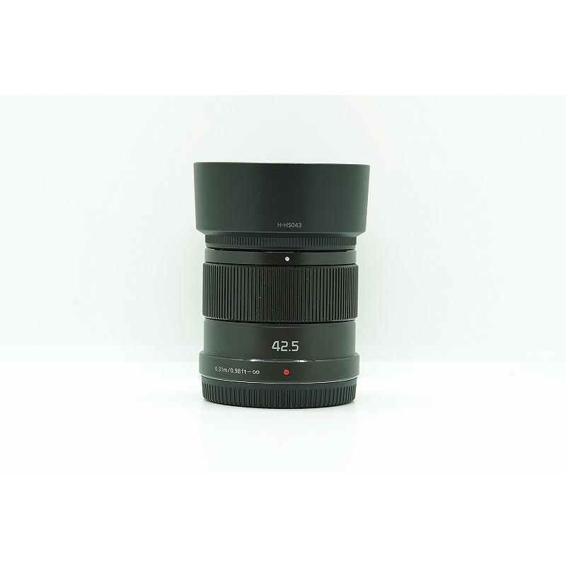 パナソニック Panasonic マイクロフォーサーズマウント レンズ LUMIX G
