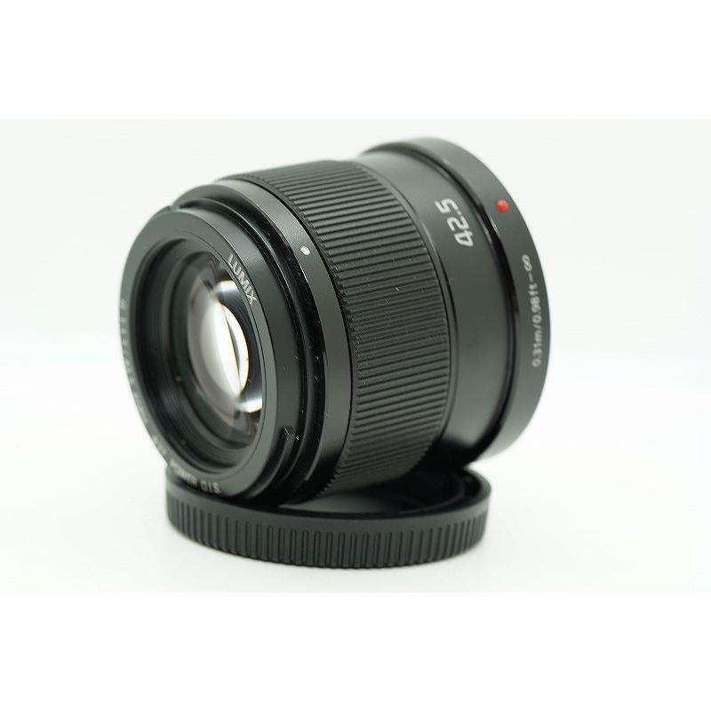 パナソニック Panasonic マイクロフォーサーズマウント レンズ LUMIX G
