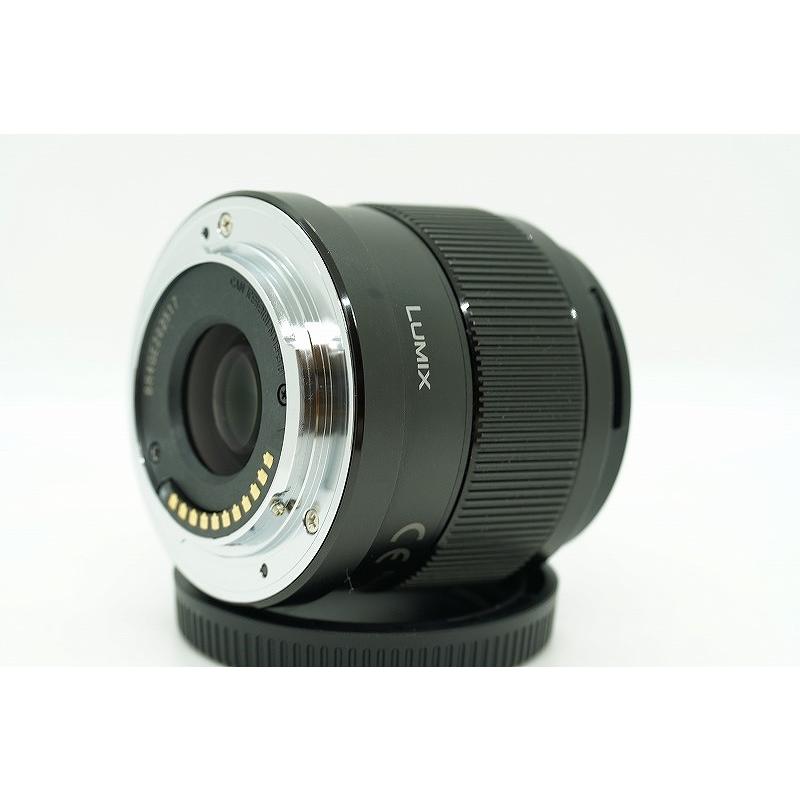 パナソニック Panasonic マイクロフォーサーズマウント レンズ LUMIX G
