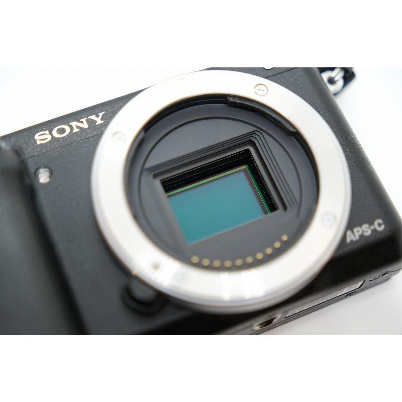 ソニー SONY ミラーレス一眼 ボディ APS-C α NEX-6 : ワットマン Yahoo