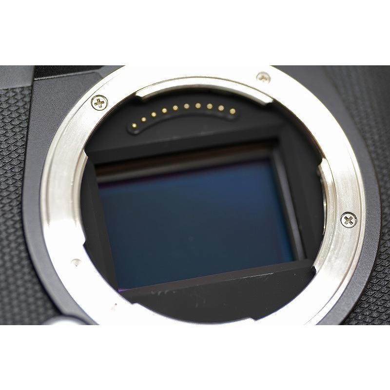 ライカ Leica ミラーレス一眼 ボディ フルサイズ SL2-S 10880