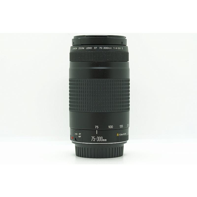 キヤノン Canon EFマウント レンズ フルサイズ EF 75-300mm F4-5.6 II