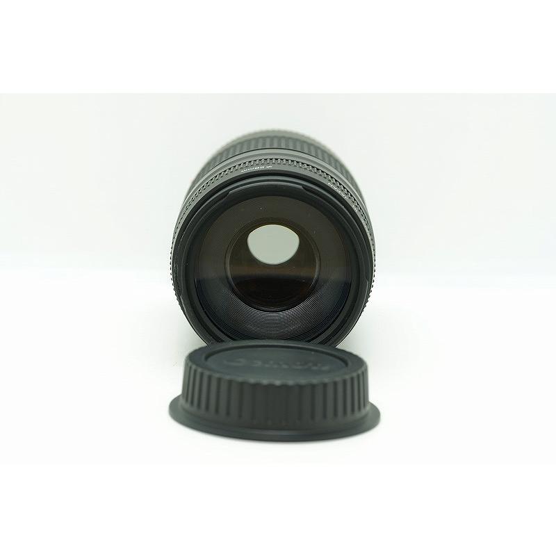 キヤノン Canon EFマウント レンズ フルサイズ EF 75-300mm F4-5.6 II