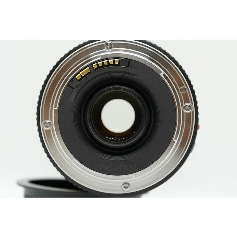 キヤノン Canon EFマウント レンズ フルサイズ EF 75-300mm F4-5.6 II