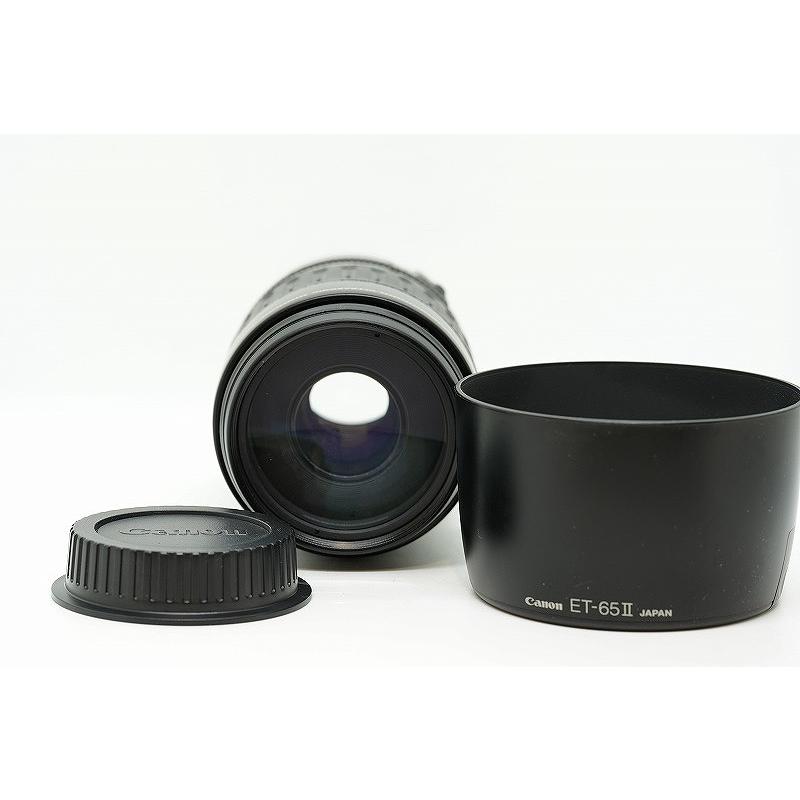 キヤノン Canon EFマウント レンズ フルサイズ EF 100-300mm F4.5-5.6