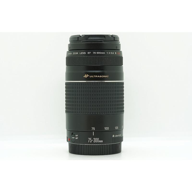 キヤノン Canon EFマウント レンズ フルサイズ EF 75-300mm F4-5.6 III