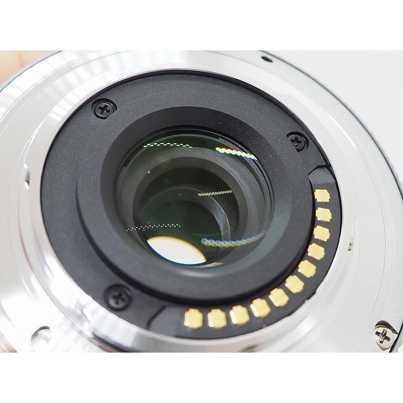 Panasonic マイクロフォーサーズマウント レンズ シルバー LUMIX G X