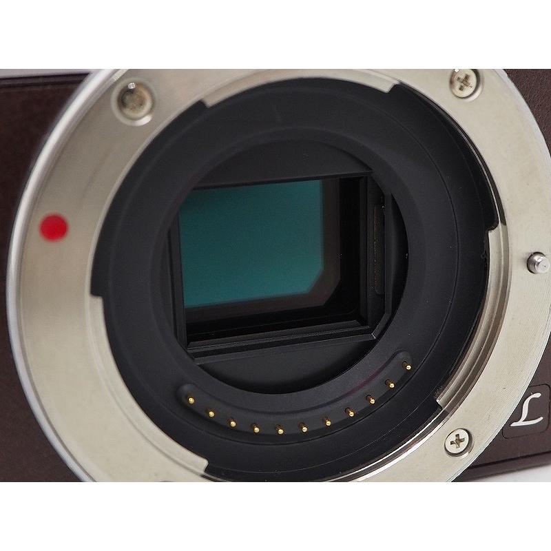 LUMIX DMC-GM1S ミラーレス一眼 ボディ（ブラウン） パナソニック Panasonic ミラーレス一眼 ボディ フォーサーズ ブラウン