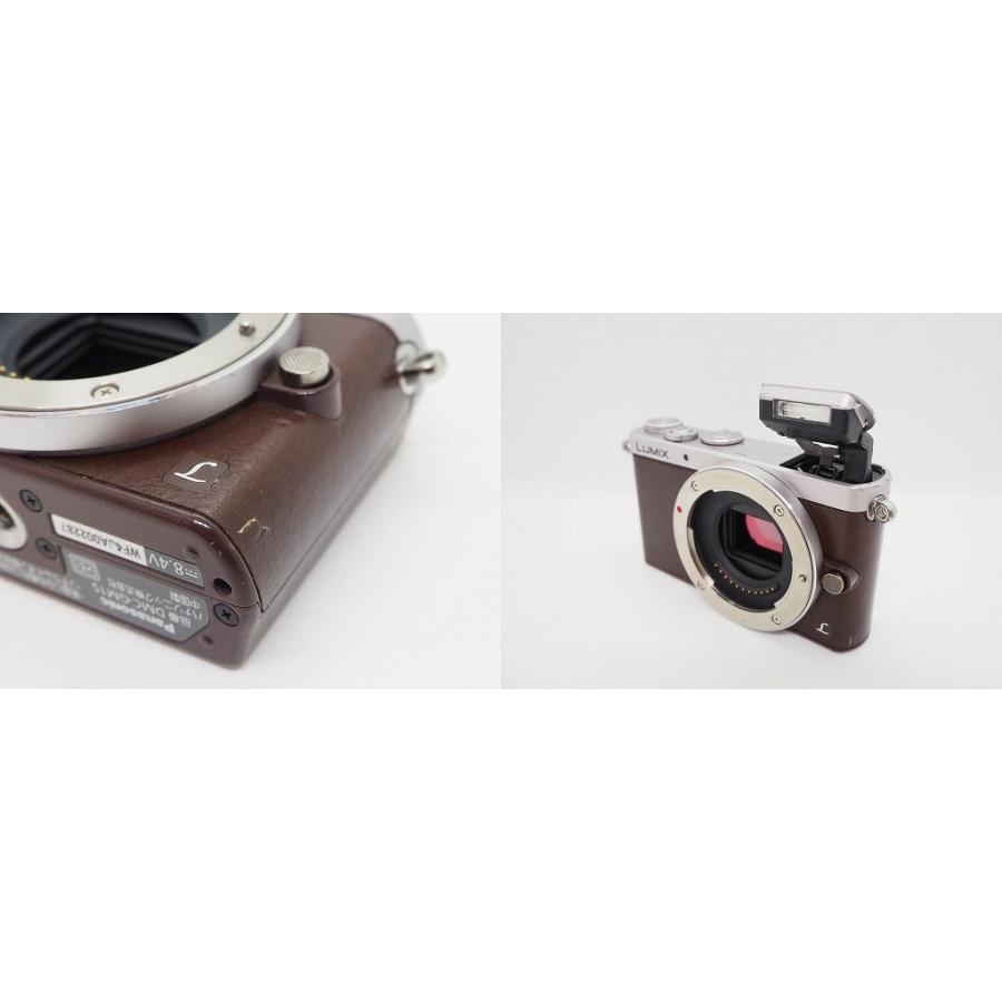 LUMIX DMC-GM1S ミラーレス一眼 ボディ（ブラウン） パナソニック Panasonic ミラーレス一眼 ボディ フォーサーズ ブラウン