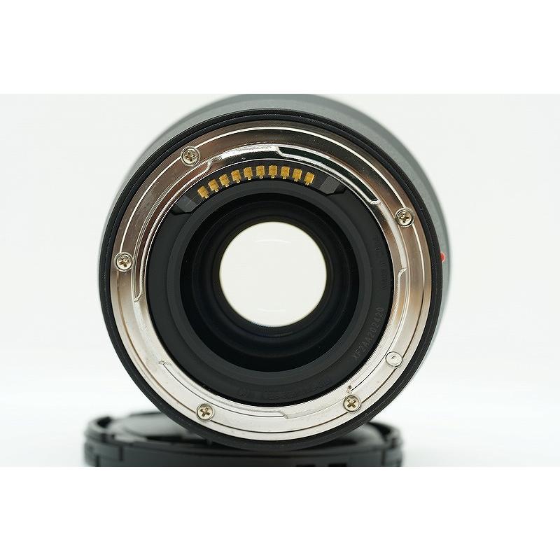 パナソニック Panasonic Lマウント レンズ フルサイズ LUMIX S 50mm F1