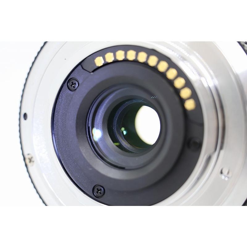 パナソニック Panasonic マイクロフォーサーズマウント レンズ LUMIX