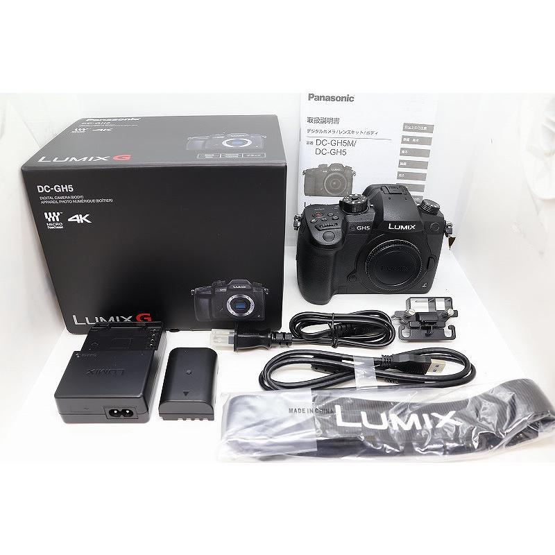 パナソニック Panasonic ミラーレス一眼 ボディ フォーサーズ LUMIX DC 
