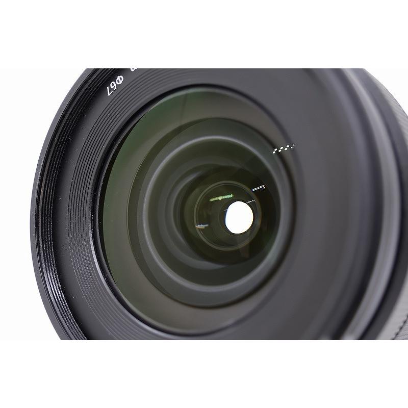 パナソニック Panasonic Lマウント レンズ フルサイズ LUMIX S 20-60mm