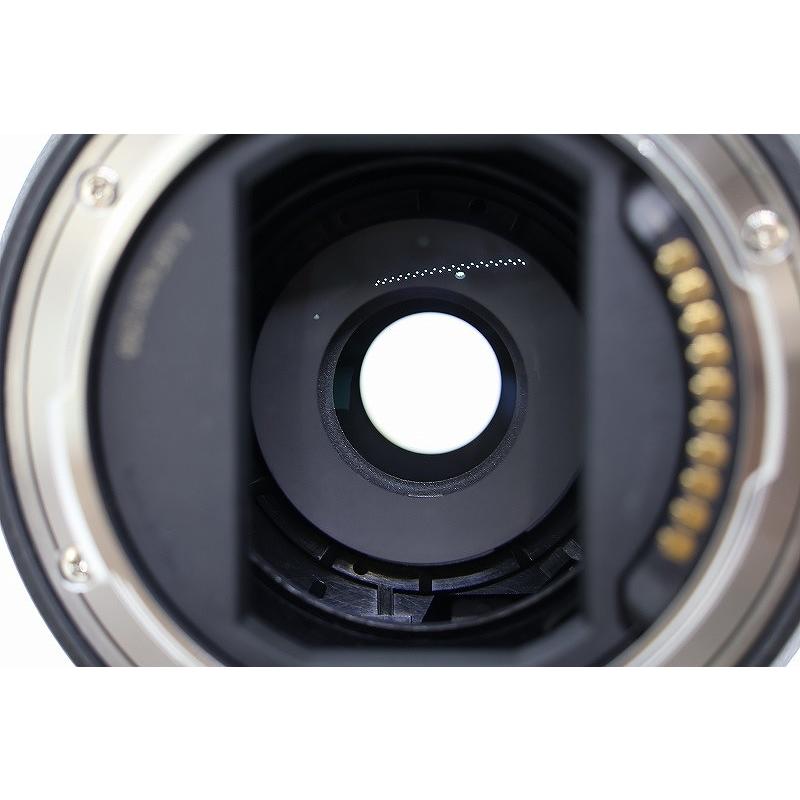 パナソニック Panasonic Lマウント レンズ フルサイズ LUMIX S 20-60mm