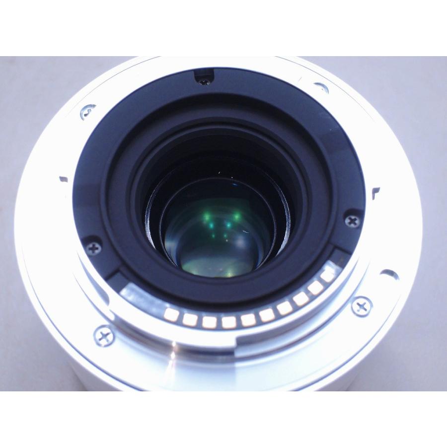 シグマ SIGMA Eマウント レンズ APS-C 19mm f2.8 DN : ワットマン