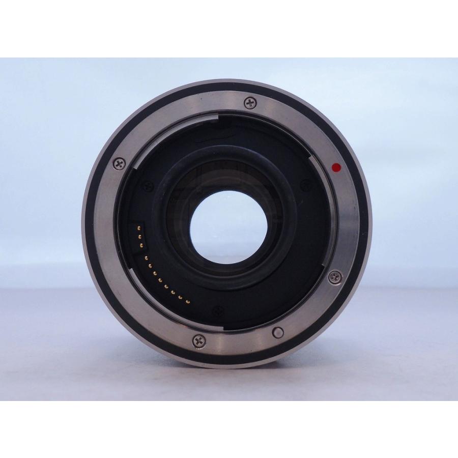 キヤノン Canon テレコンバーター EXTENDER EF 2x III : ワットマン