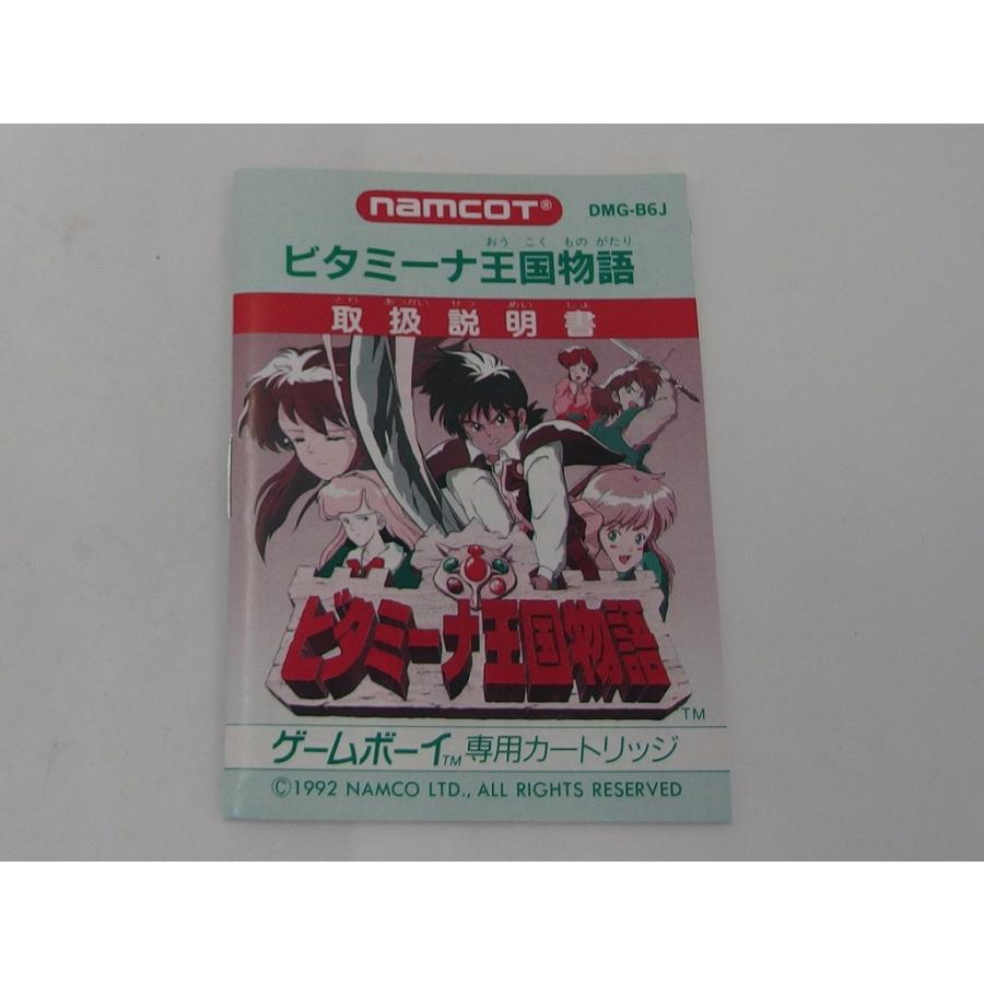 GBソフト ビタミーナ王国物語の画像