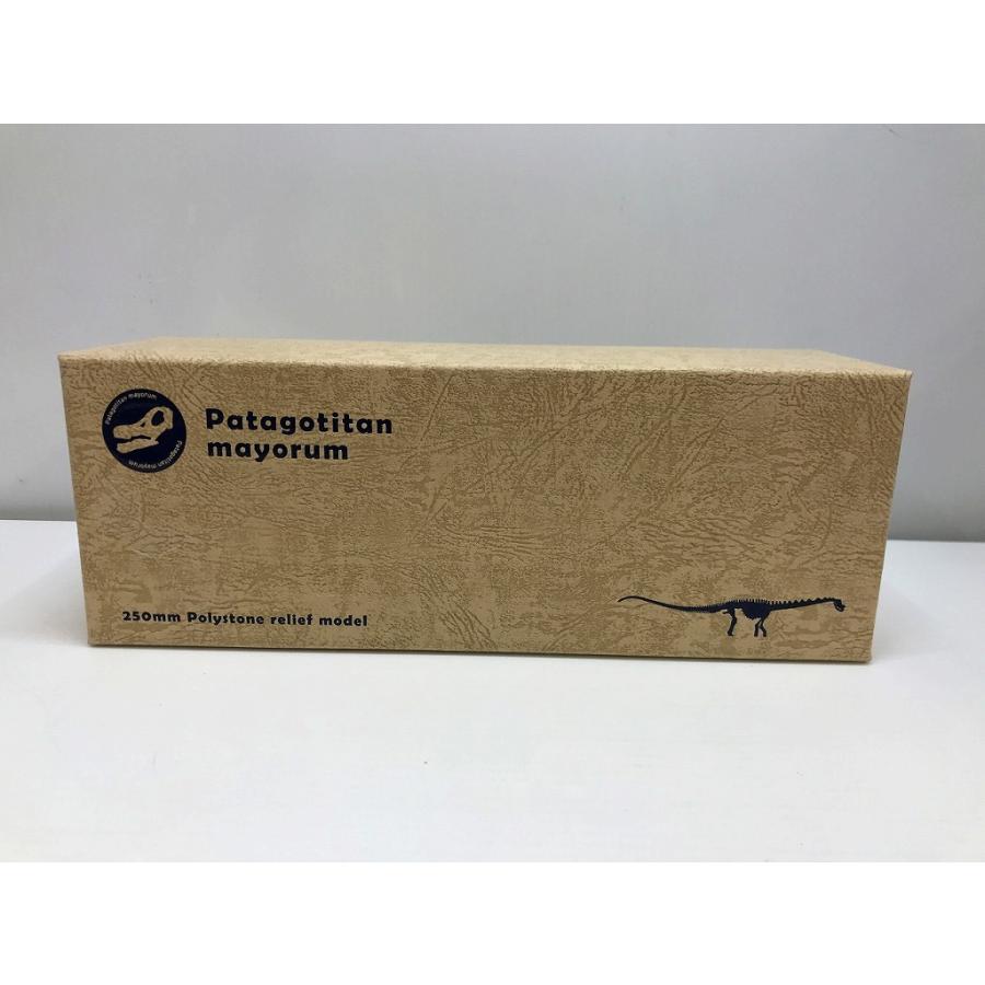 パタゴティタン・マヨルム骨格レリーフモデル ・海洋堂高知
