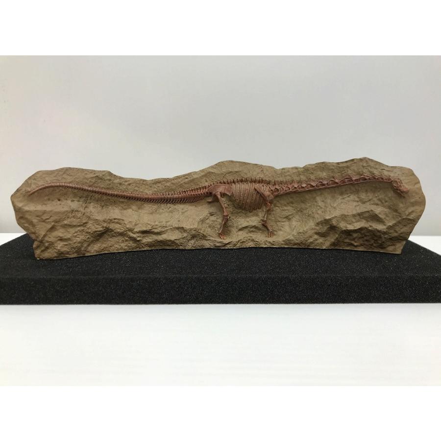 パタゴティタン・マヨルム骨格レリーフモデル ・海洋堂高知