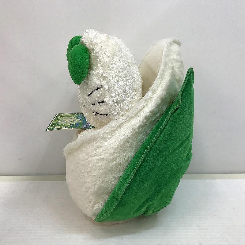 【未使用】 サンリオ サンリオ ご当地ハローキティ 尾瀬 ぬいぐるみ_1