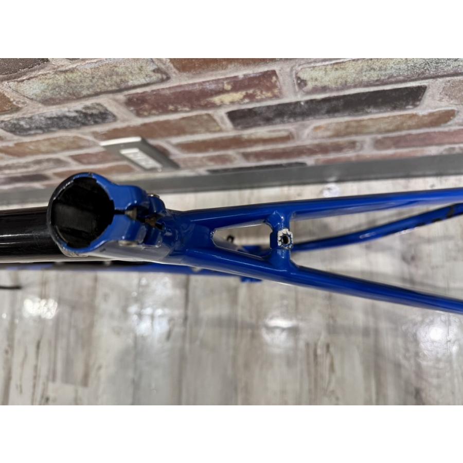 ジャイアント GIANT フレームセット FCR【カウマン戸塚】 : ワットマン