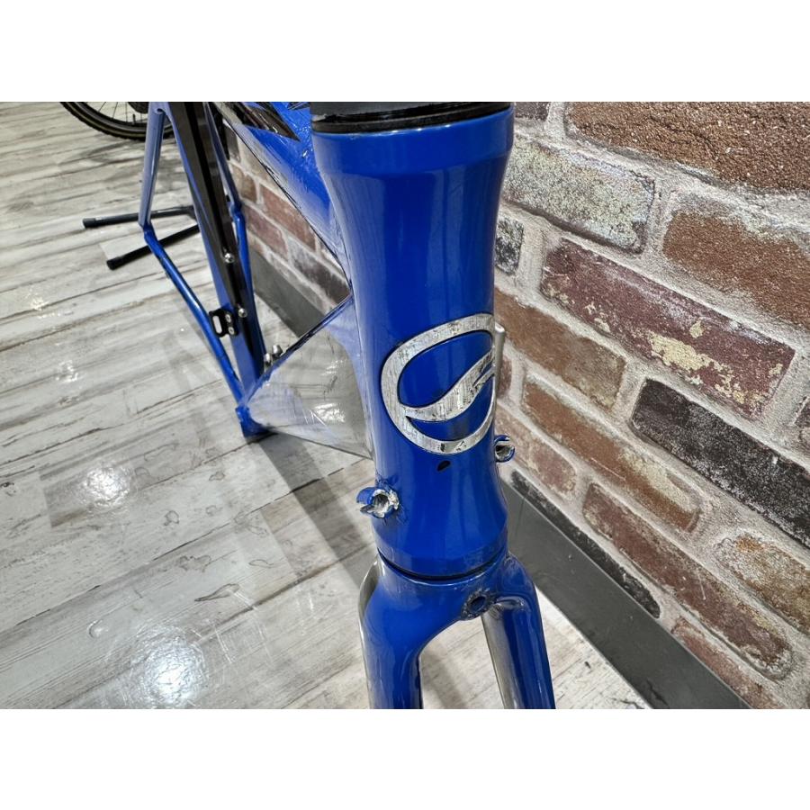 ジャイアント GIANT フレームセット FCR【カウマン戸塚】 : ワットマン