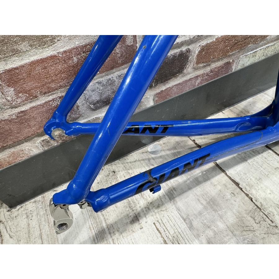 ジャイアント GIANT フレームセット FCR【カウマン戸塚】 : ワットマン