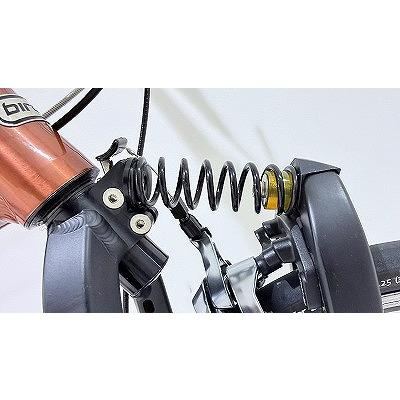 送料無料】 リーズアンドミューラー R&M 折りたたみ自転車 BIRDY AIR 