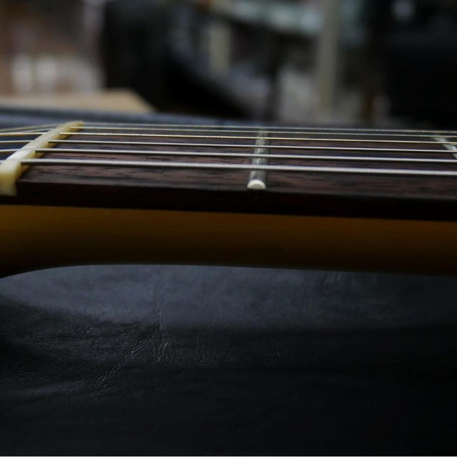 ギター FUJIGEN JTL-5R FgN(FUJIGEN)(エフジーエヌ(フジゲン)) ⁄ JTL