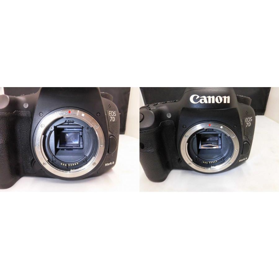 キヤノン Canon デジタル一眼レフカメラ EOS 7D Mark II : ワットマン