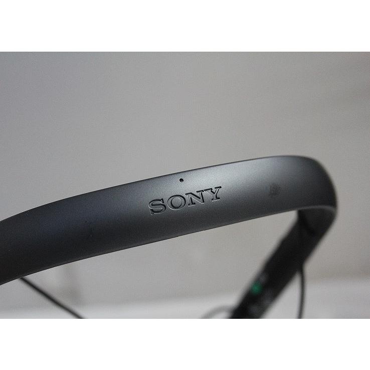 ソニー SONY 首かけ集音器 [オートシーンセレクト/マイボイスキャンセ