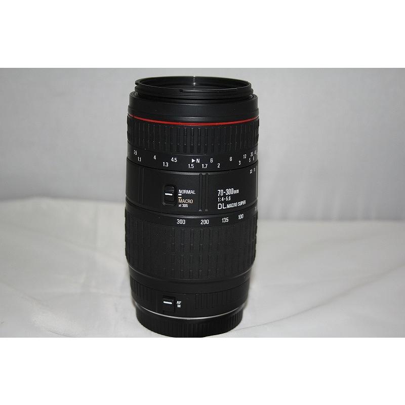 シグマ SIGMA レンズ[70-300mm F4-5.6 DL MACRO SUPER] : ワットマン