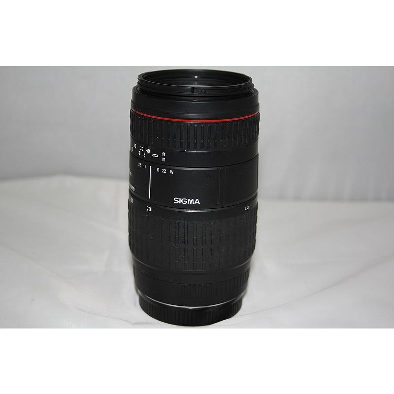 シグマ SIGMA レンズ[70-300mm F4-5.6 DL MACRO SUPER] : ワットマン