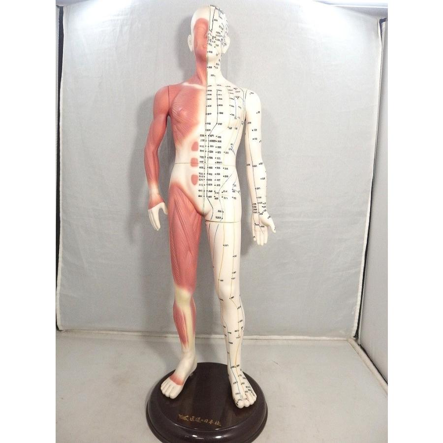 経穴人形　医道の日本社 医道の日本社 経絡経穴人形 人体模型 : ワットマン Yahoo!ショッピング