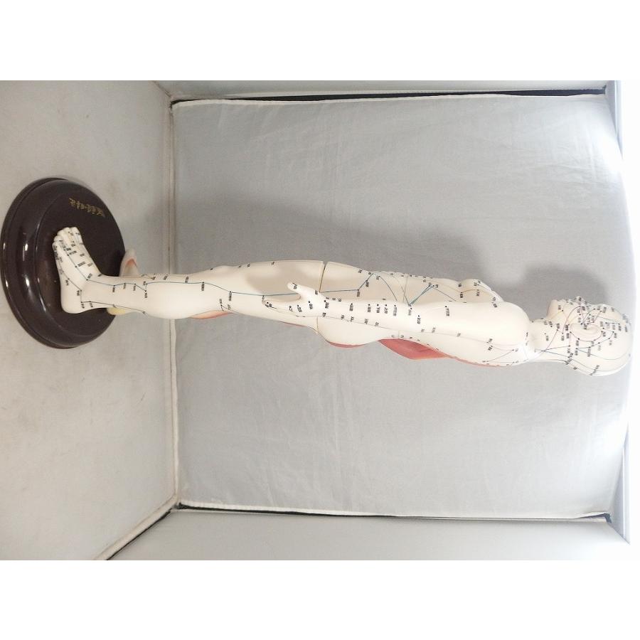 医道の日本社 経絡経穴人形 人体模型 : ワットマン Yahoo!ショッピング