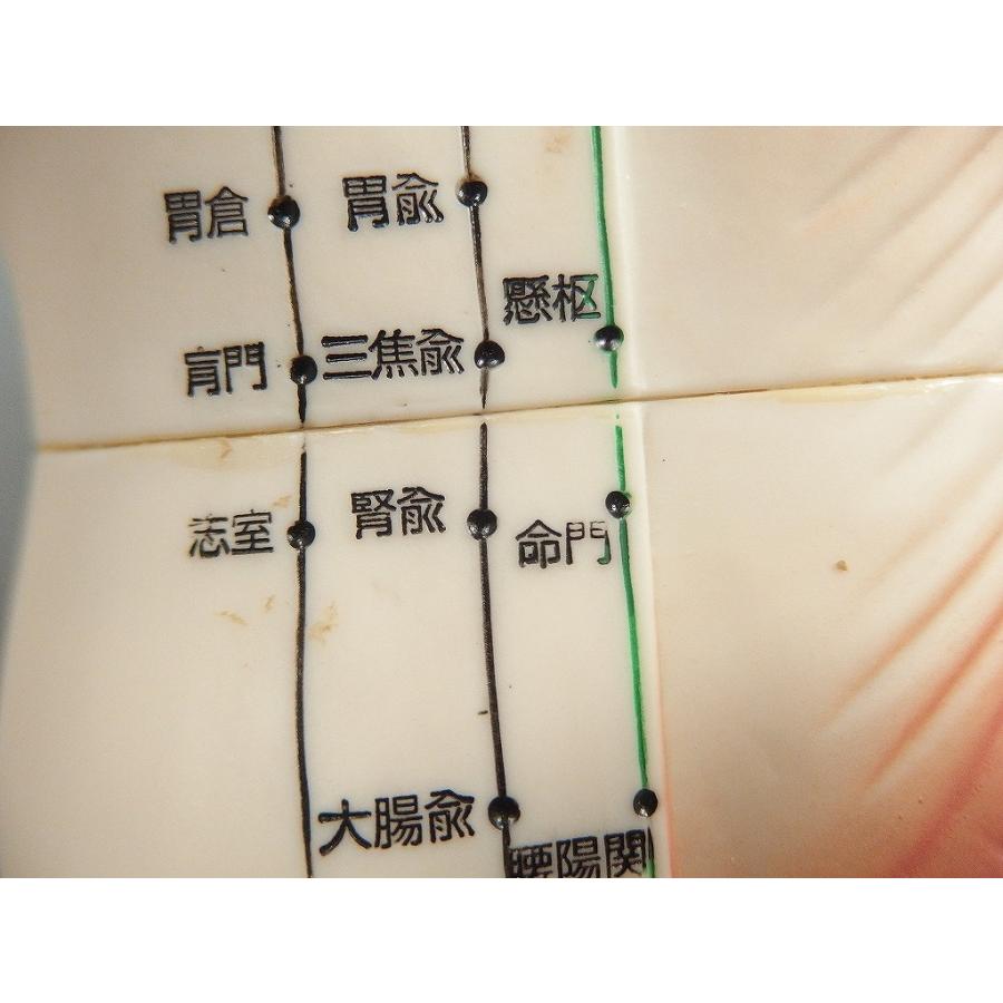 医道の日本社 経絡経穴人形 人体模型 : ワットマン Yahoo!ショッピング