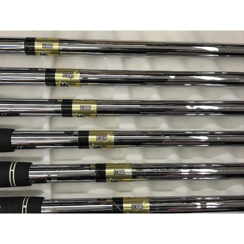 三浦技研 右利き用アイアン6本セット（5-9,P） CB-2007 : ワットマン