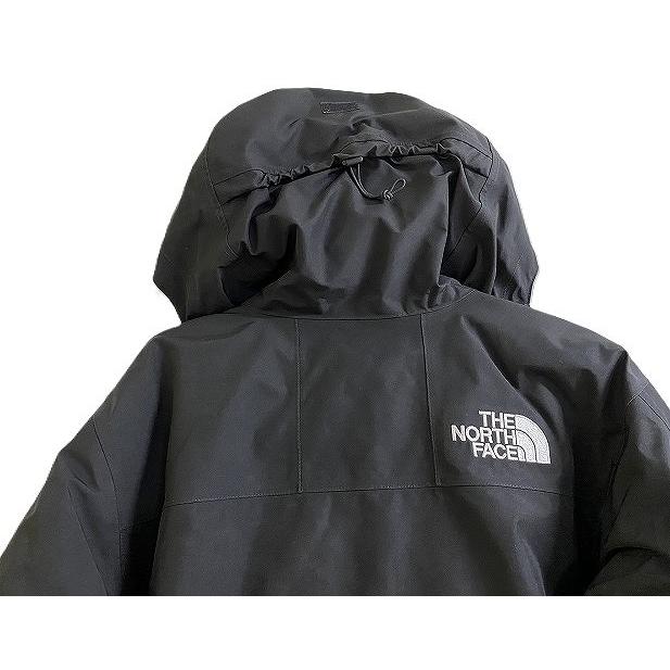 THE NORTH FACE M GTX MOUNTAIN GUIDE INSULATED JACKET ゴアテックス マウンテン ガイド インサレーテッド NJ2PP50A_3