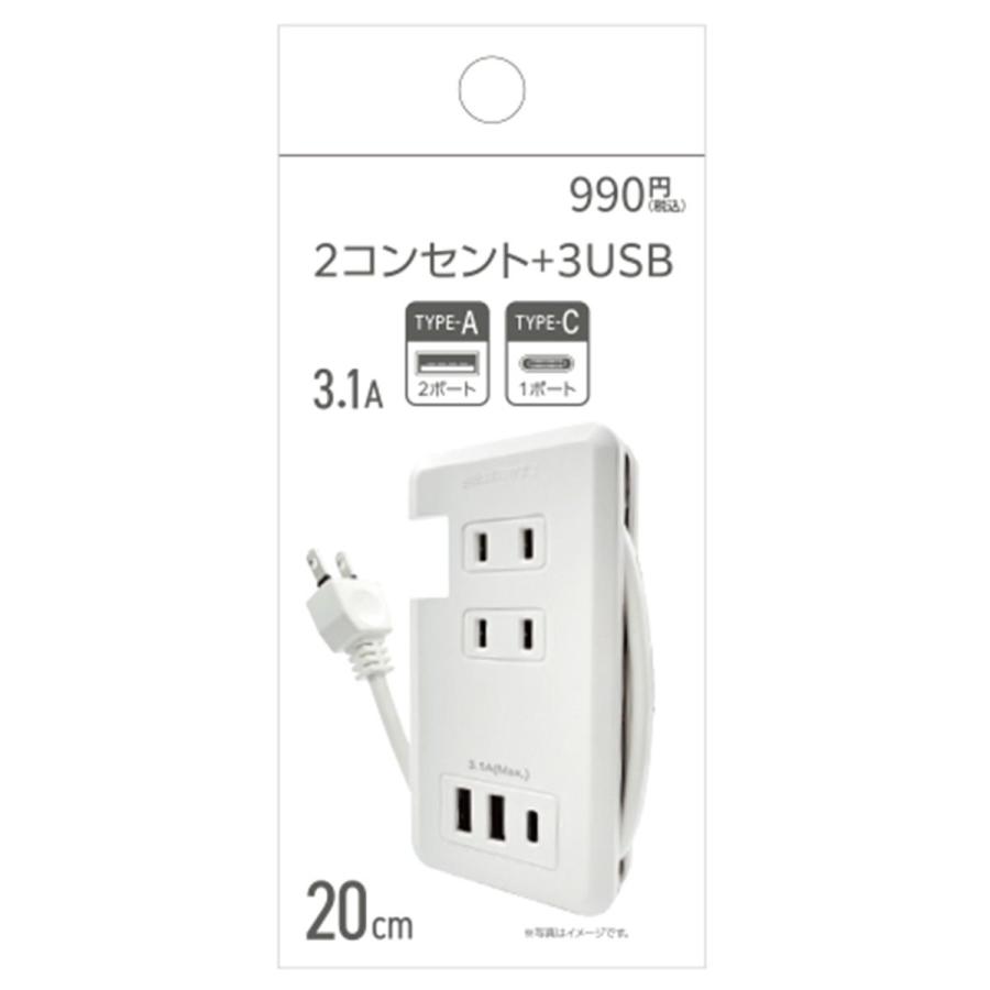 電源タップ コンセントタップ PB.2コンセント20cm 050994 : ワッツ