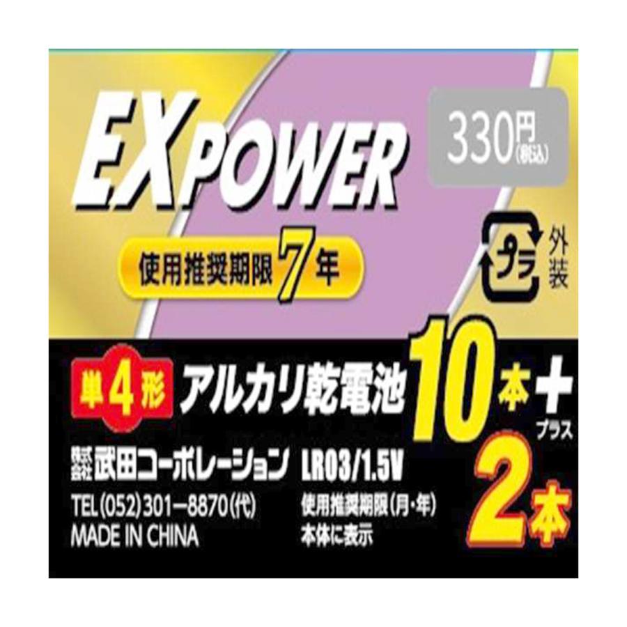 電池 単4形 武田コーポレーション アルカリ乾電池 EXPOWER 12本